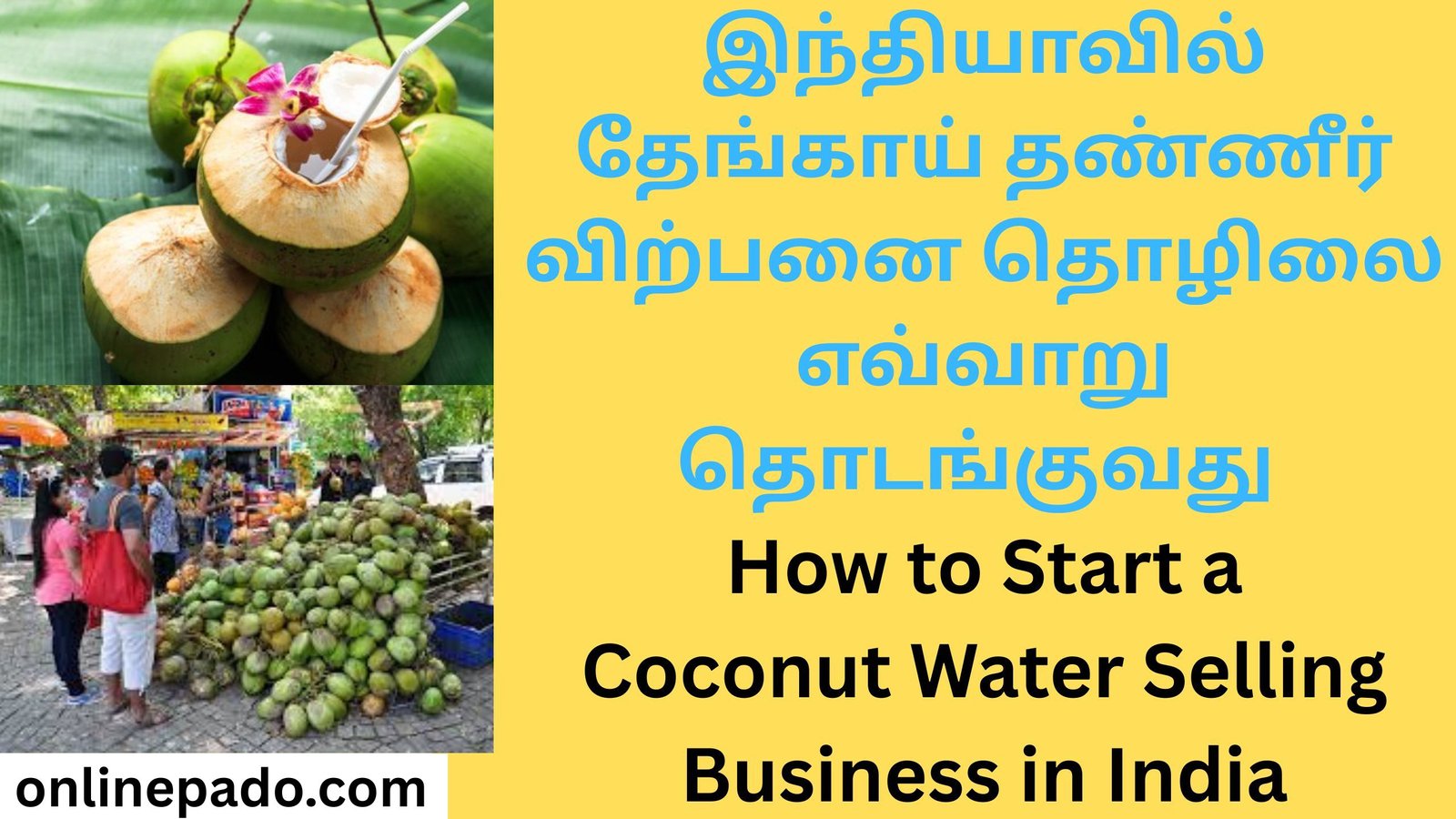 How to Start a Coconut Water Selling Business in India